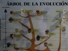 Parque de la Imaginacion, Lima - Evolution