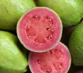 Guava