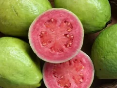 Guava