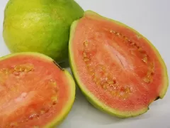 Guava