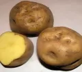 Papa Amarilla - Yellow Potato