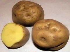 Papa Amarilla - Yellow Potato