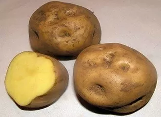 Papa Amarilla - Yellow Potato