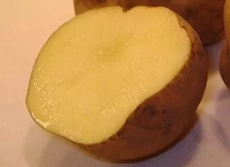 Papa Amarilla - Yellow Potato