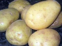 Papa Blanca - White Potato
