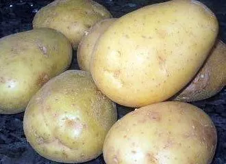 Papa Blanca - White Potato