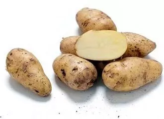 Papa Blanca - White Potato