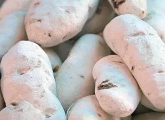 Chuño - Freeze-Dried-Potato