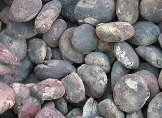 Chuño - Freeze-Dried-Potato