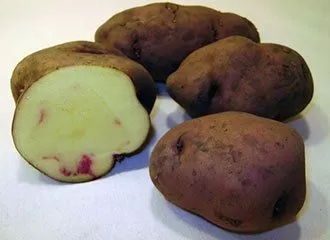 Papa Huayro