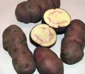 Papa Nativa - Native Potato