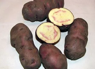 Papa Nativa - Native Potato