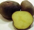 Papa Negra - Black Potato