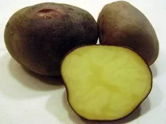 Papa Negra - Black Potato