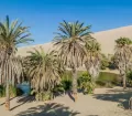Huacachina - a true oasis surrounded by a sea of sand