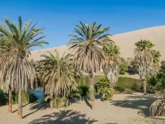 Huacachina - a true oasis surrounded by a sea of sand