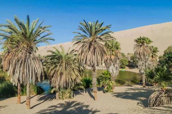 Huacachina - a true oasis surrounded by a sea of sand Huacachina - a true oasis surrounded by a sea of sand
