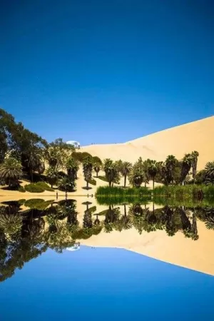 The waters of the Huacachina oasis are believed to have special healing powers.  The waters of the Huacachina oasis are believed to have special healing powers.