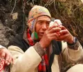 Traditional rebuilding of the Q’eswachaka Bridge