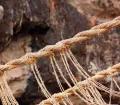 Traditional rebuilding of the Q’eswachaka Bridge