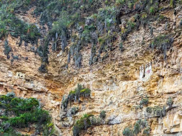 The funeral statues sit on an inaccessible mountain cliff in the Utcubamba Valley about 50 km from the city of Chachapoyas The funeral statues sit on an inaccessible mountain cliff in the Utcubamba Valley about 50 km from the city of Chachapoyas