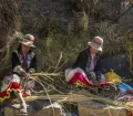 Traditional rebuilding of the Q’eswachaka Bridge