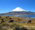 Yucamani volcano in Candarave, Tacna; photo: PromPeru