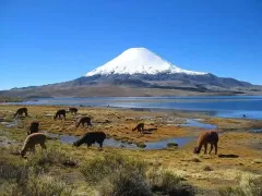 Yucamani volcano in Candarave, Tacna; photo: PromPeru