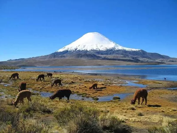 Yucamani volcano in Candarave, Tacna; photo: PromPeru Yucamani volcano in Candarave, Tacna; photo: PromPeru