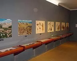 Museum at Puruchuco Museum at Puruchuco