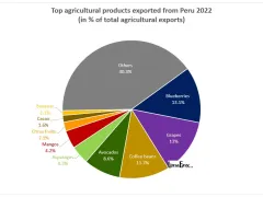 top agricultural products exported from Peru 2022