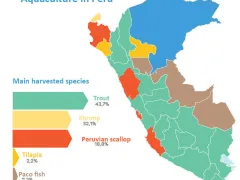 Aquaculture in Peru: harvested fish species 2022