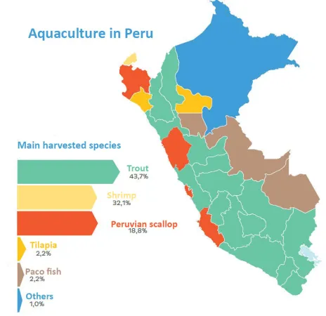 Aquaculture in Peru: harvested fish species 2022 Aquaculture in Peru: harvested fish species 2022