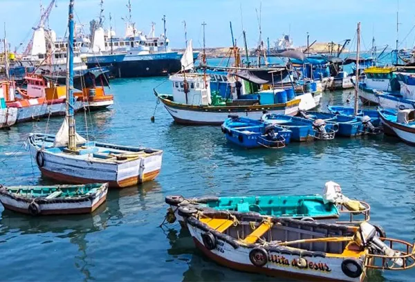 Fishing in Peru Fishing in Peru