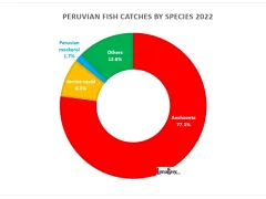 Fish catches by species in Peru 2022