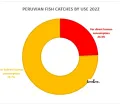 Peruvian fish catches by use