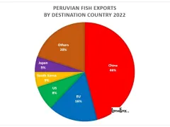 Top export destinations for Peruvian fish products 2022
