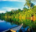 Manu National Park, Peru