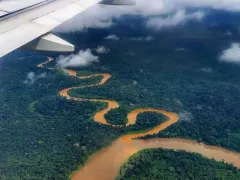 Aerial view of the Manu National Park.