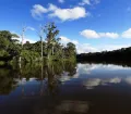 Typical landscape in the lowlands of the Manu National Park