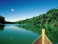 Typical landscape in the lowlands of the Manu National Park