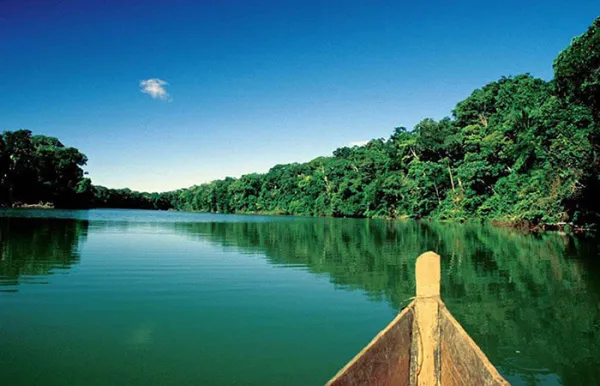Typical landscape in the lowlands of the Manu National Park
