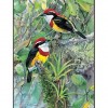Birds of Peru - Field Guide