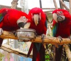La Granja Villa - zoo and entertainment for kids