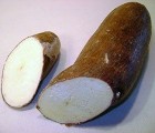 Yuca - Manioc