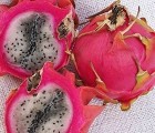 Pitahaya - Dragon Fruit