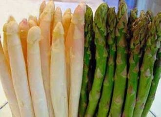 Esparrago - Peruvian Asparagus