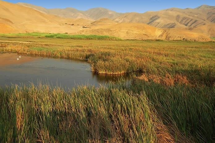 Wetlands of Ventanilla