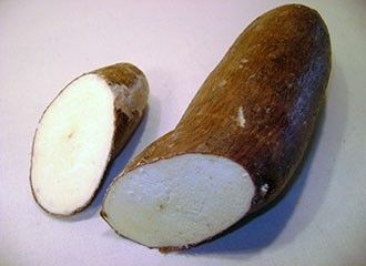 Yuca - Manioc