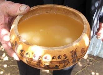 Peruvian Chicha de Jora